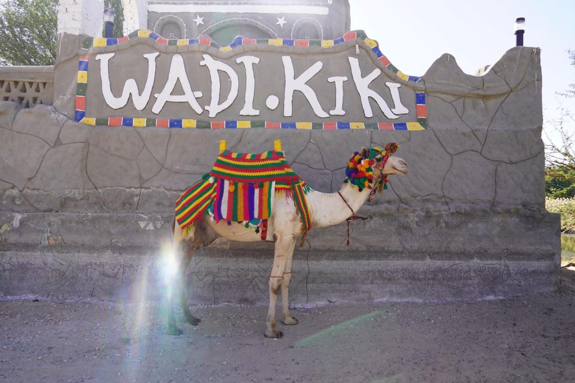 Artika Wadi Kiki Hotel Asuán Exteriér fotografie